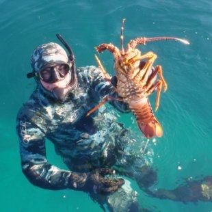 Catching Crayfish